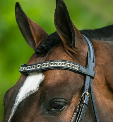 Elegant crystal brow band